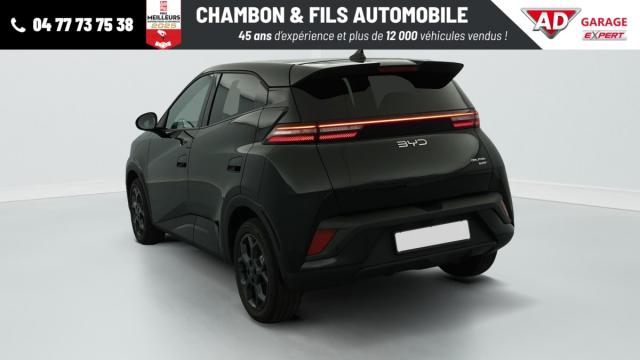 Byd Dolphin image 8
