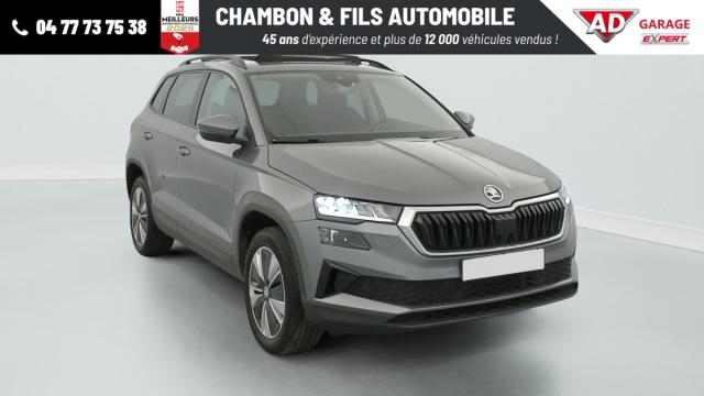 Skoda Karoq 2.0 Tdi 116 Ch Scr Dsg7 Business