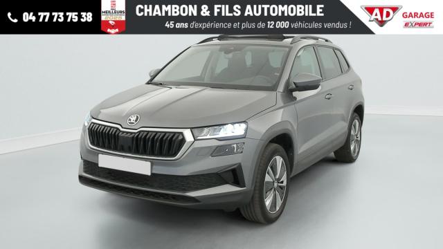 Skoda Karoq image 1