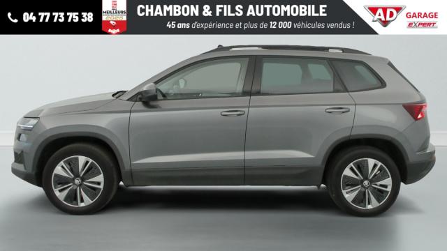 Skoda Karoq image 2