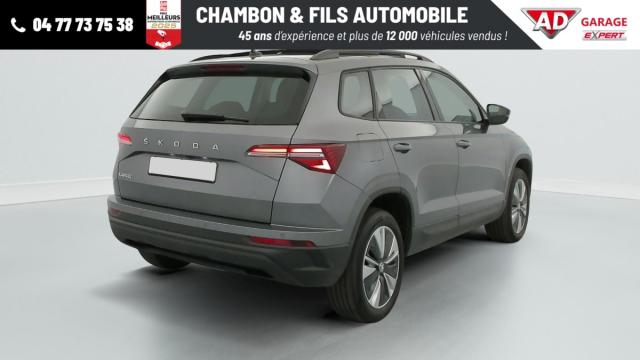 Skoda Karoq image 3