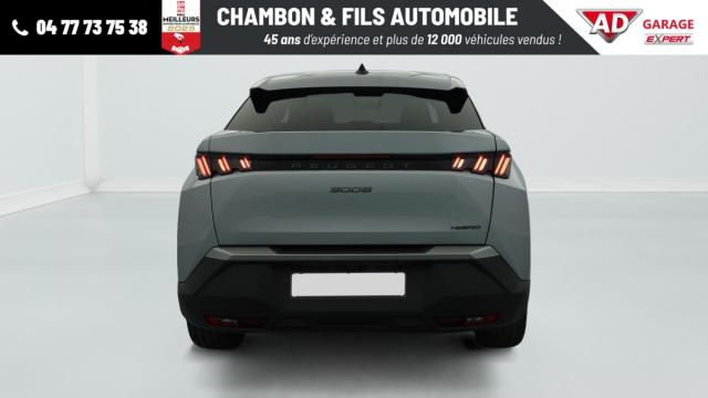 Peugeot 3008 image 1