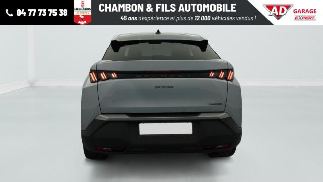 Peugeot 3008 image 4