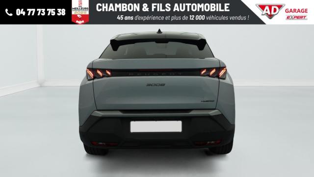 Peugeot 3008 image 8