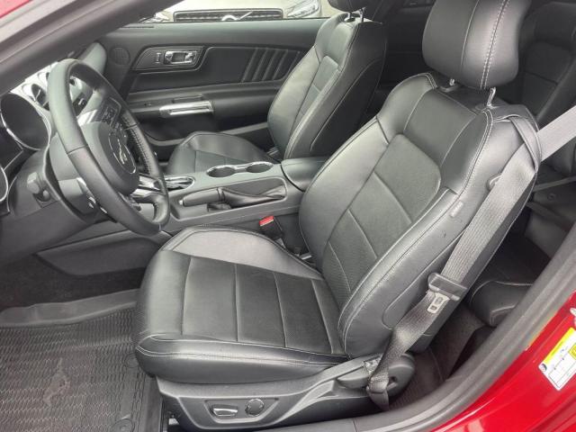 Ford Mustang image 6