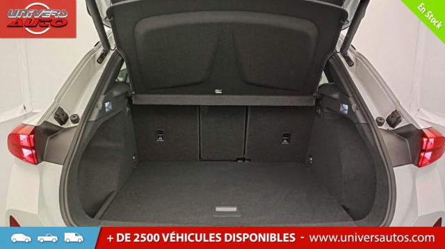 Cupra Terramar image 8