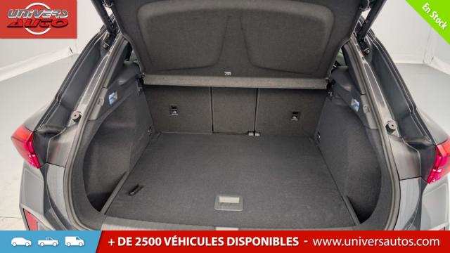 Cupra Terramar image 5