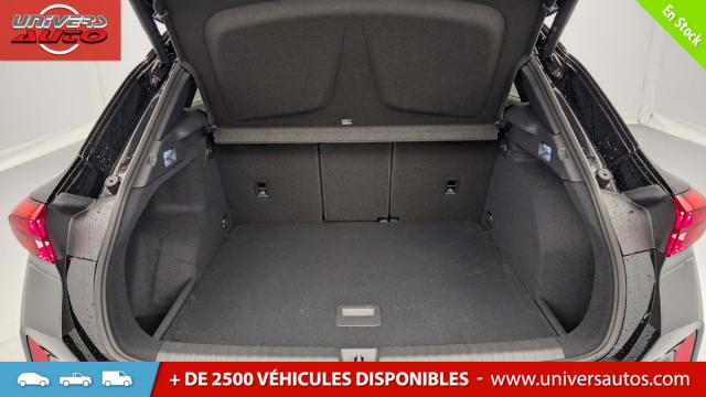Cupra Terramar image 9