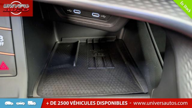 Cupra Terramar image 7