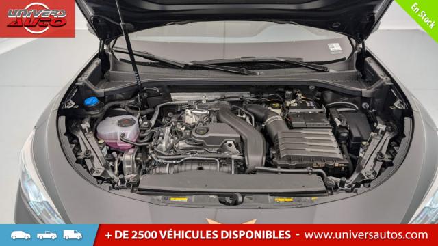 Cupra Terramar image 8