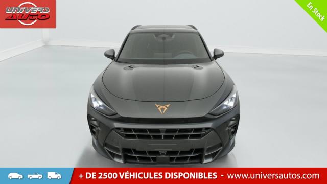 Cupra Terramar image 7