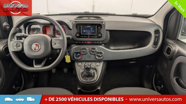 Fiat Panda image 6