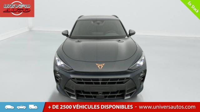 Cupra Terramar image 4