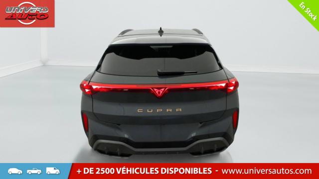 Cupra Terramar image 3