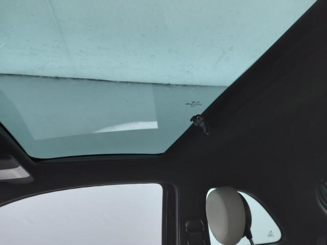 Fiat 500 image 3