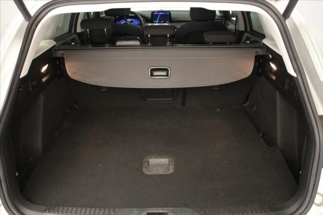 Ford Focus image 3
