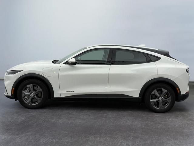 Ford Mustang Mach-E image 1