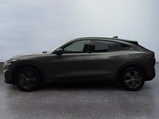 Ford Mustang Mach-E image 8