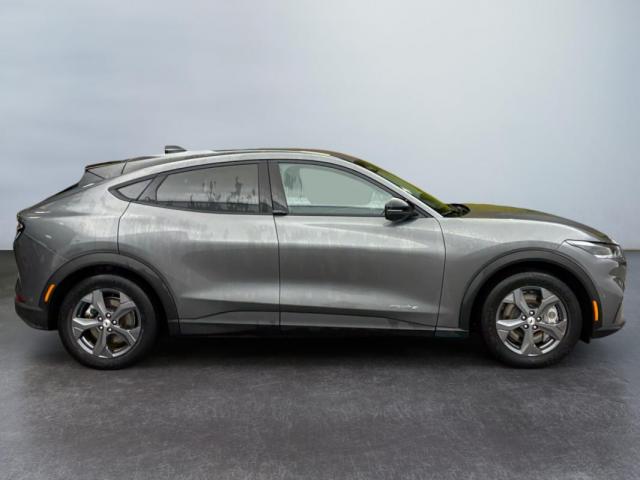 Ford Mustang Mach-E image 5