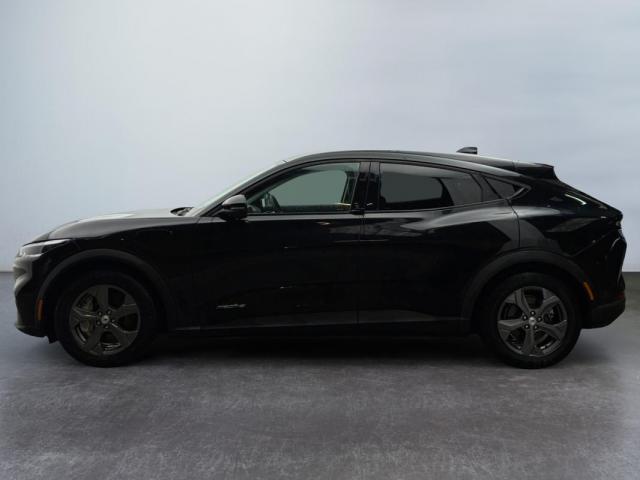 Ford Mustang Mach-E image 2