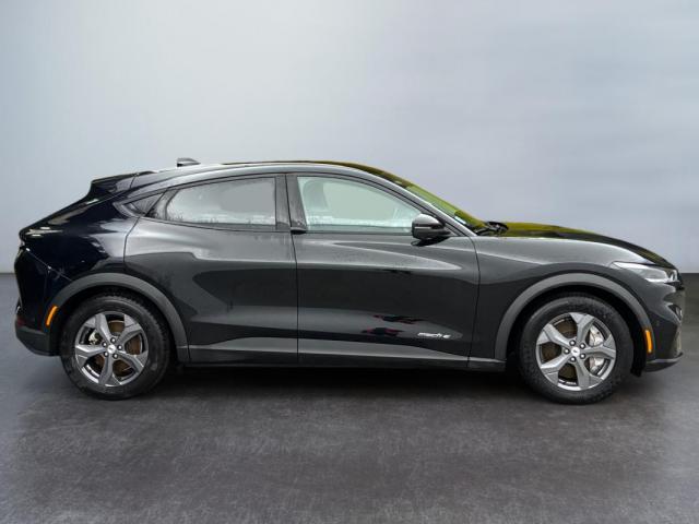 Ford Mustang Mach-E image 5