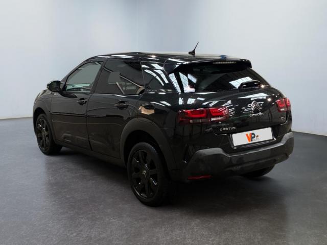 Citroen C4 Cactus image 7