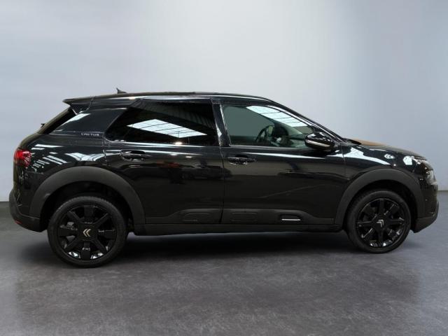 Citroen C4 Cactus image 5