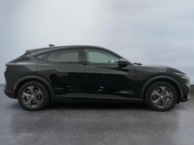 Ford Mustang Mach-E image 1