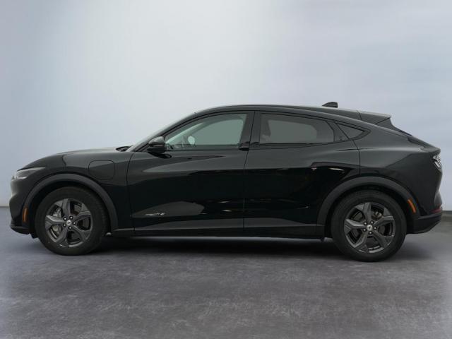 Ford Mustang Mach-E image 6