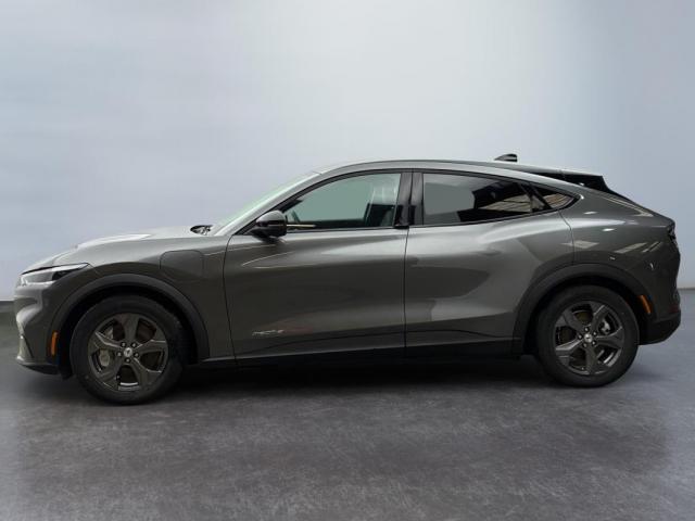 Ford Mustang Mach-E image 7