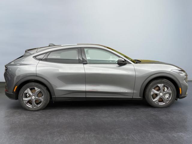 Ford Mustang Mach-E image 5