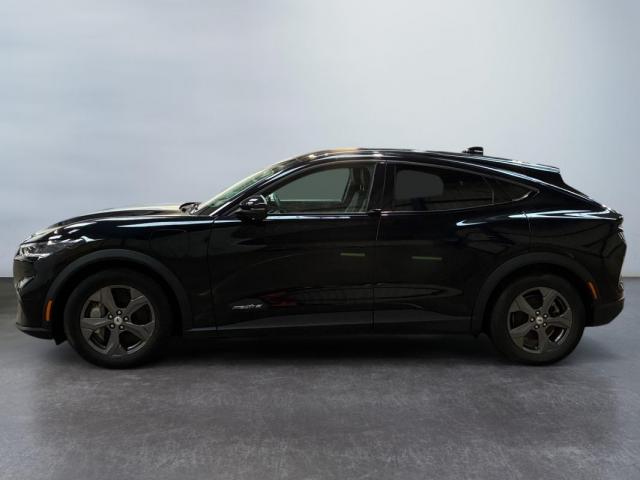 Ford Mustang Mach-E image 2