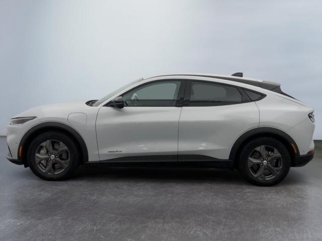 Ford Mustang Mach-E image 8