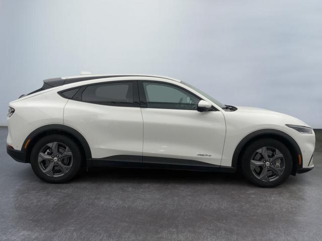 Ford Mustang Mach-E image 2