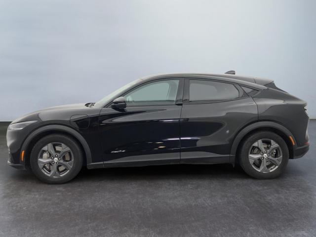 Ford Mustang Mach-E image 8