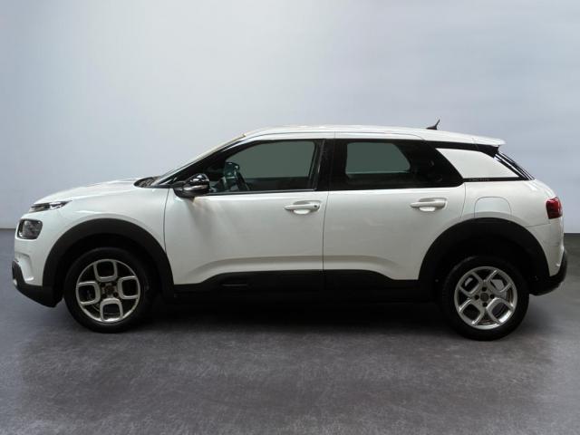 Citroen C4 Cactus image 7