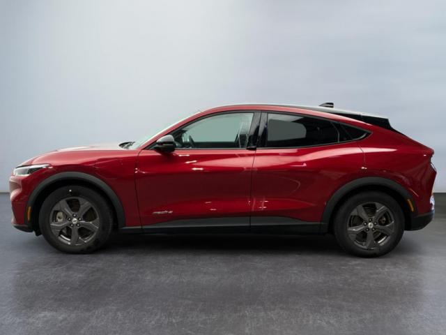 Ford Mustang Mach-E image 3