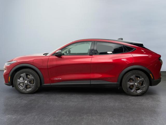 Ford Mustang Mach-E image 8