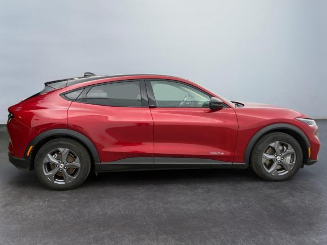 Ford Mustang Mach-E image 5