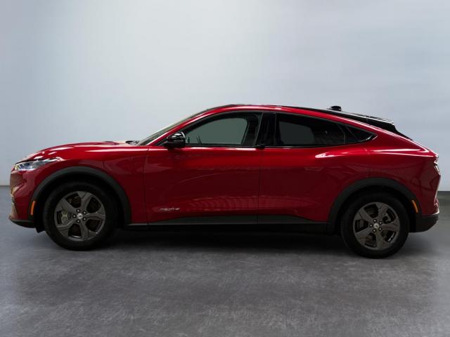 Ford Mustang Mach-E image 2