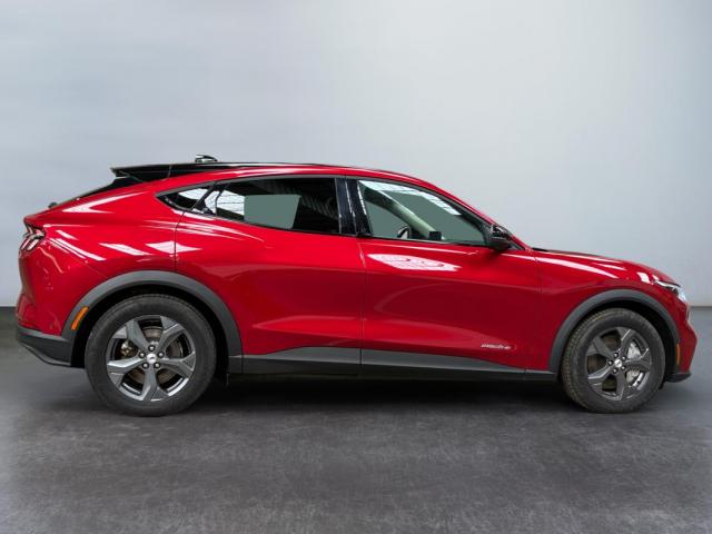 Ford Mustang Mach-E image 7