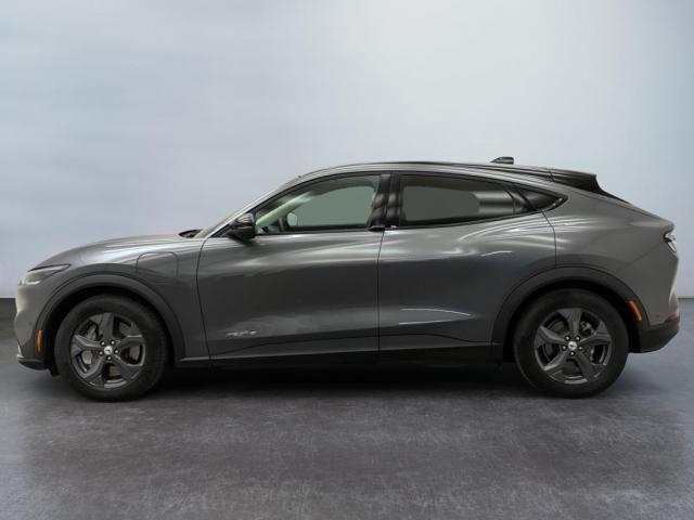 Ford Mustang Mach-E image 2