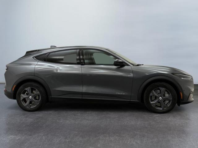 Ford Mustang Mach-E image 8