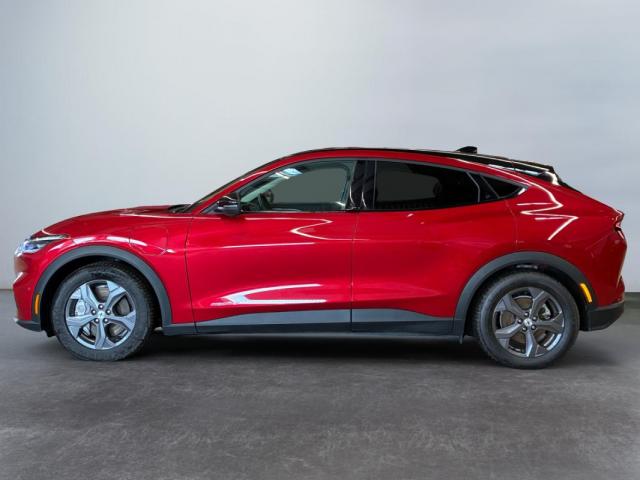 Ford Mustang Mach-E image 1