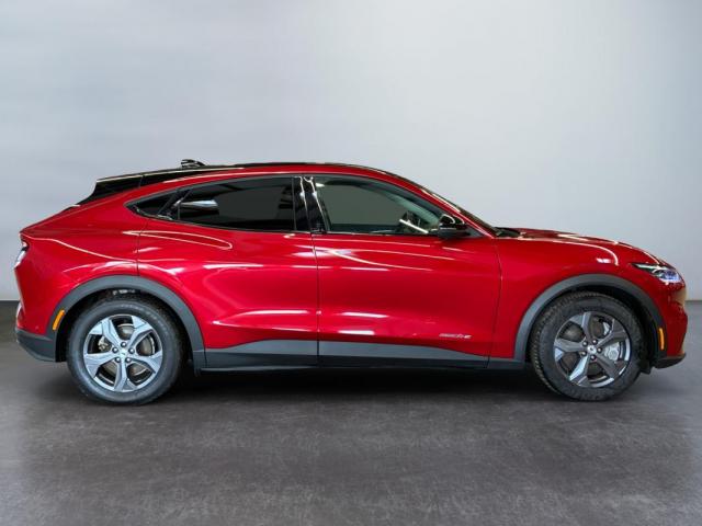 Ford Mustang Mach-E image 6