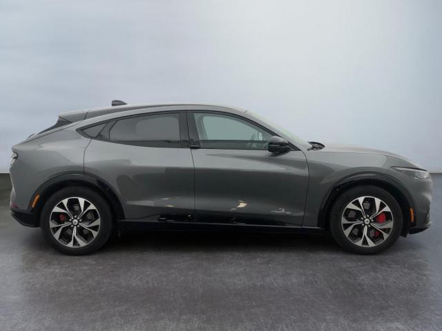 Ford Mustang Mach-E image 3