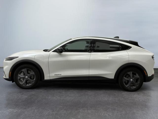 Ford Mustang Mach-E image 1