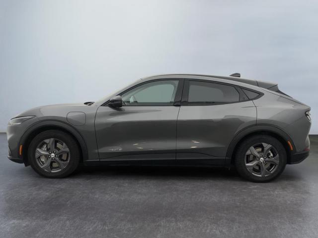 Ford Mustang Mach-E image 2