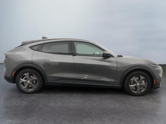 Ford Mustang Mach-E image 1