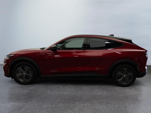 Ford Mustang Mach-E image 1